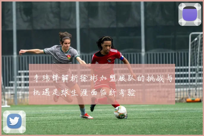 李玮锋解析徐彬加盟狼队的挑战与机遇足球生涯面临新考验