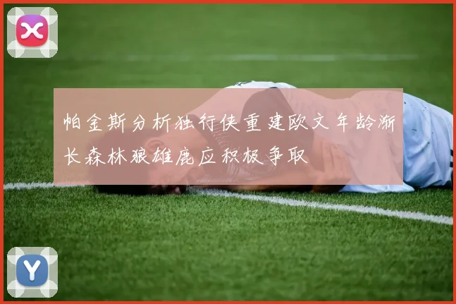 帕金斯分析独行侠重建欧文年龄渐长森林狼雄鹿应积极争取